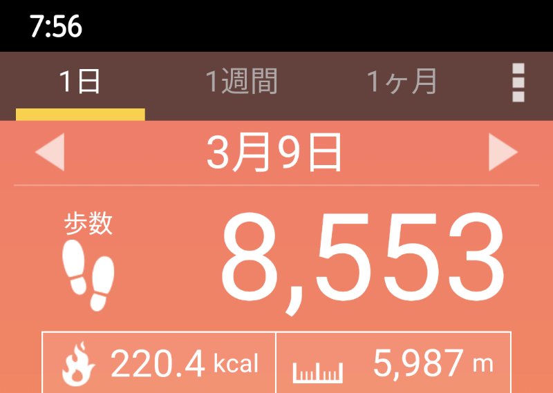 f:id:toyamayama:20210310080747j:plain