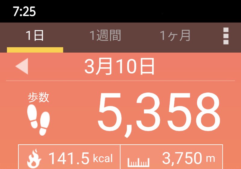 f:id:toyamayama:20210310080848j:plain