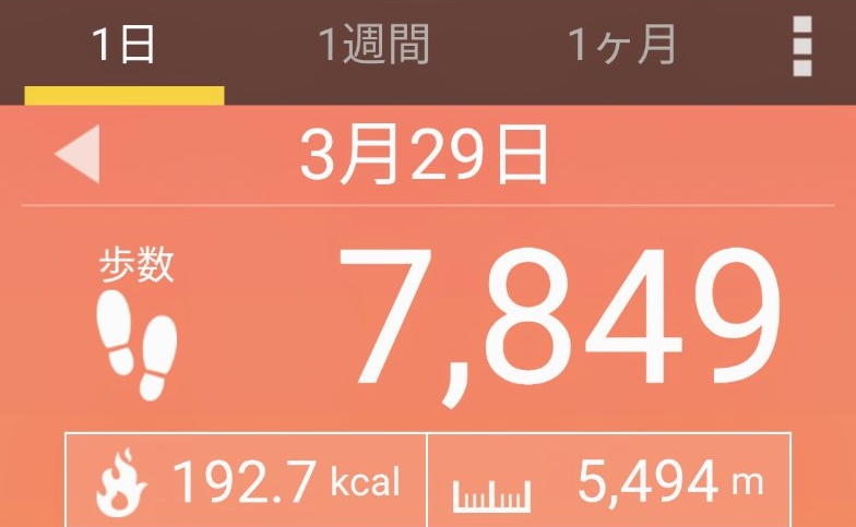 f:id:toyamayama:20210329081318j:plain
