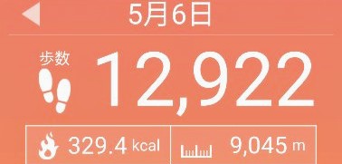 f:id:toyamayama:20210506155125j:plain