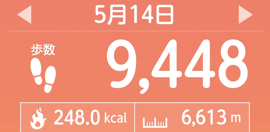 f:id:toyamayama:20210516054349j:plain
