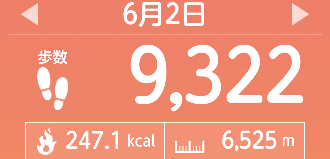 f:id:toyamayama:20210603045228p:plain