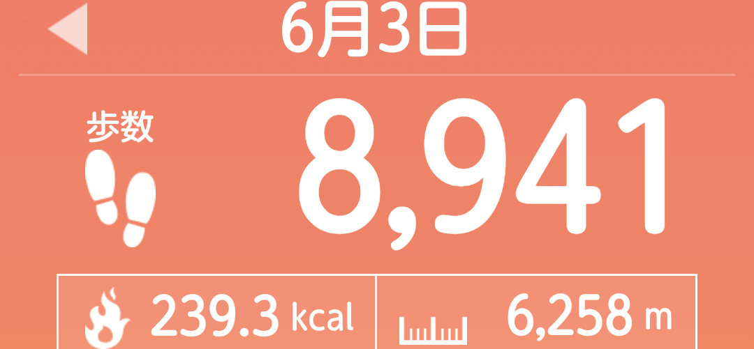 f:id:toyamayama:20210603145449p:plain