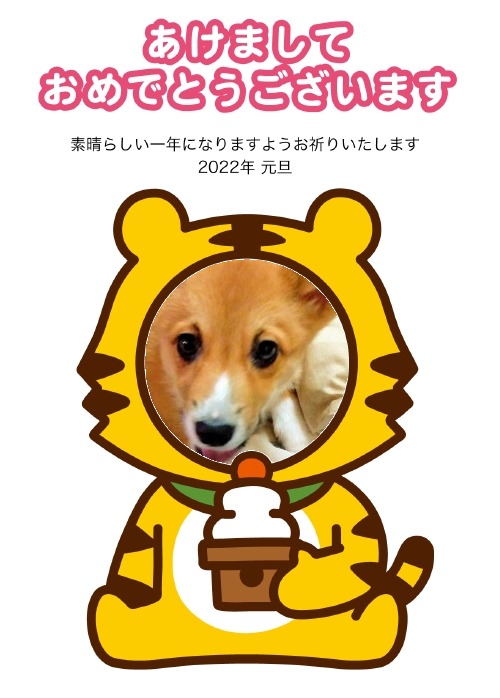 あけおめとは 一般の人気 最新記事を集めました はてな