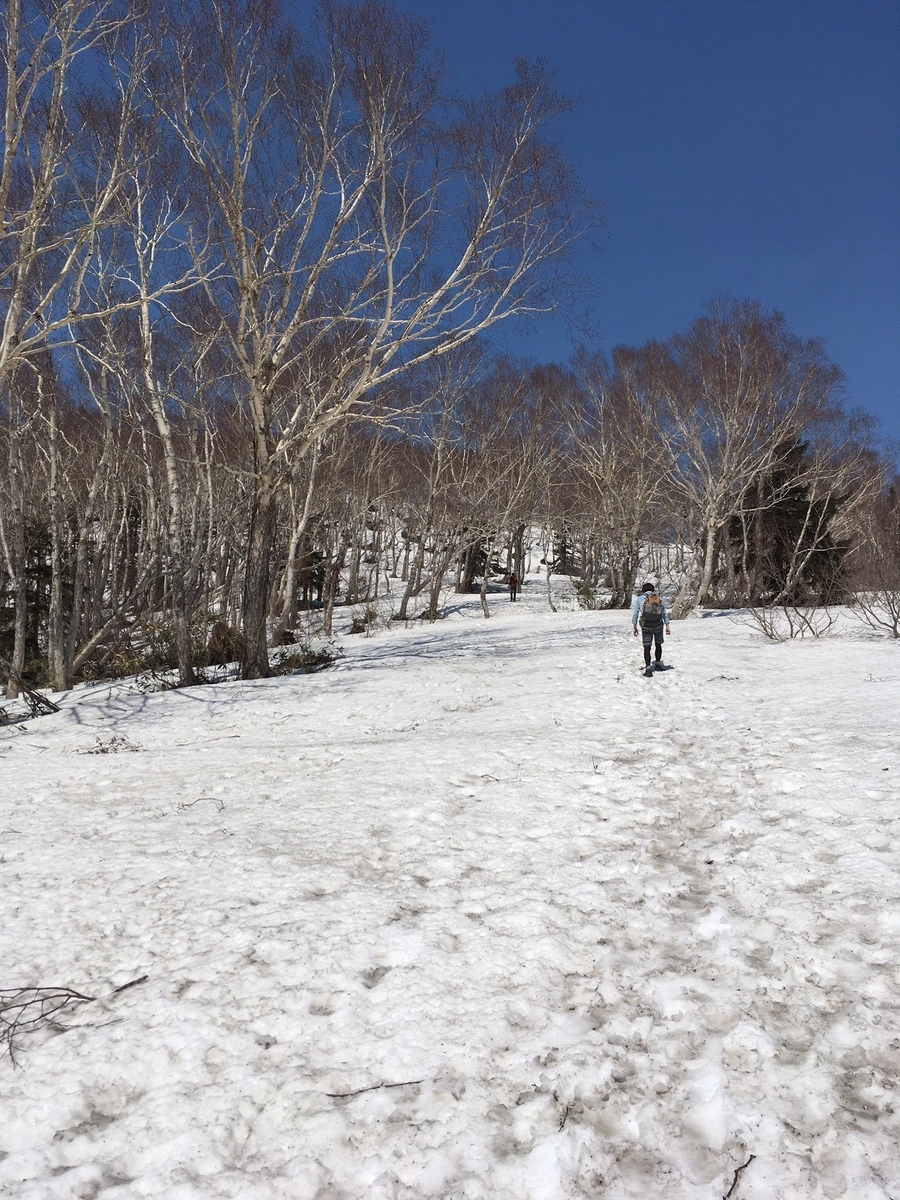 f:id:toybox585:20190601071322j:plain f:id:toybox585:20190601071322j:plain