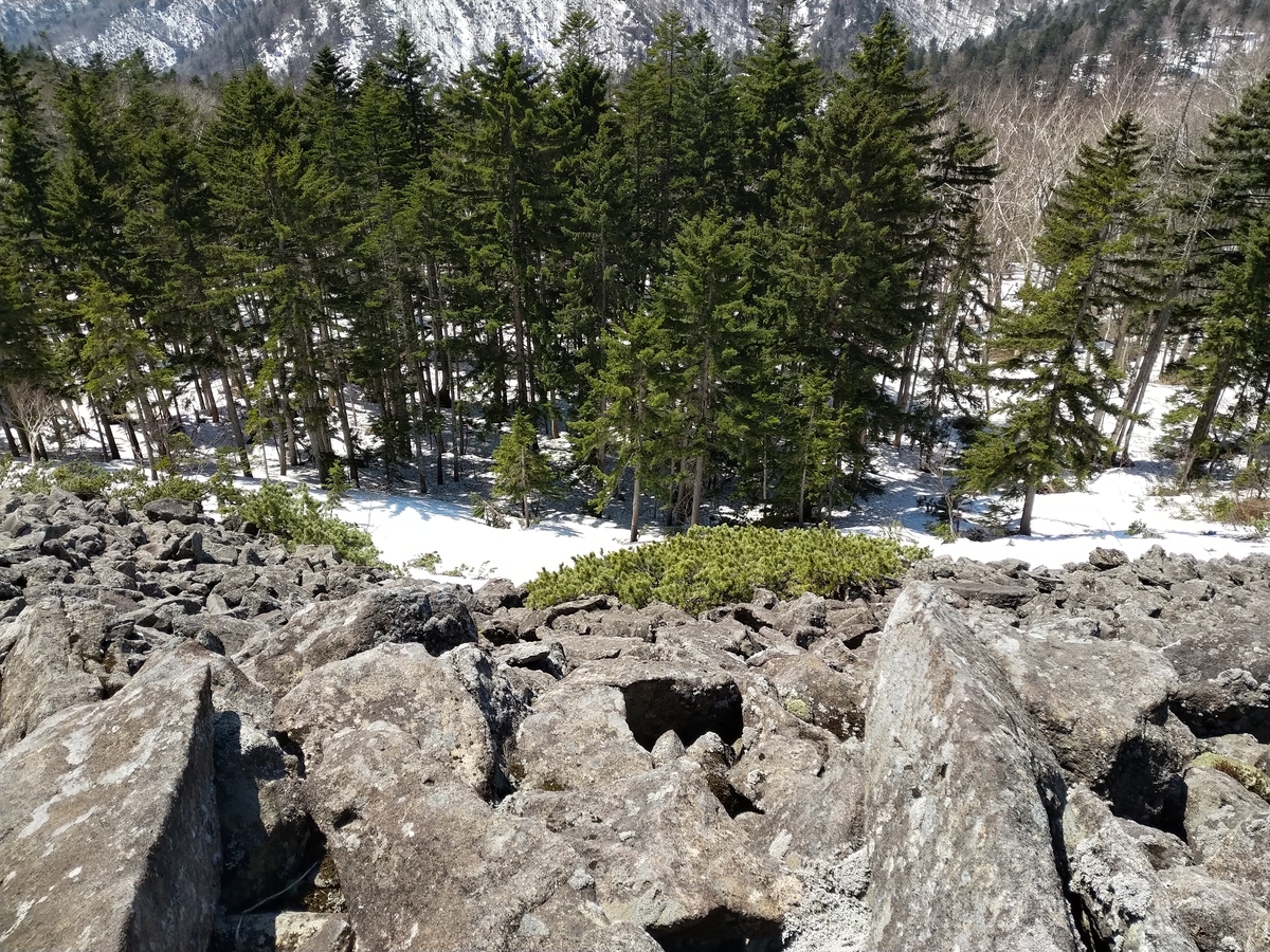 f:id:toybox585:20190601072533j:plain f:id:toybox585:20190601072533j:plain