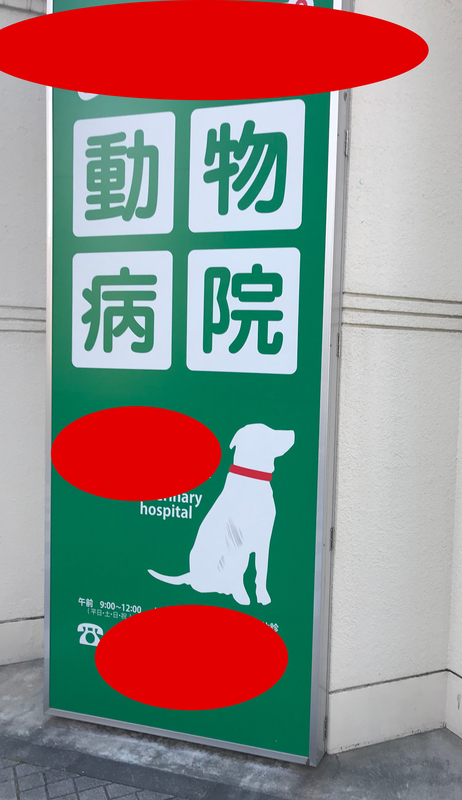 動物病院