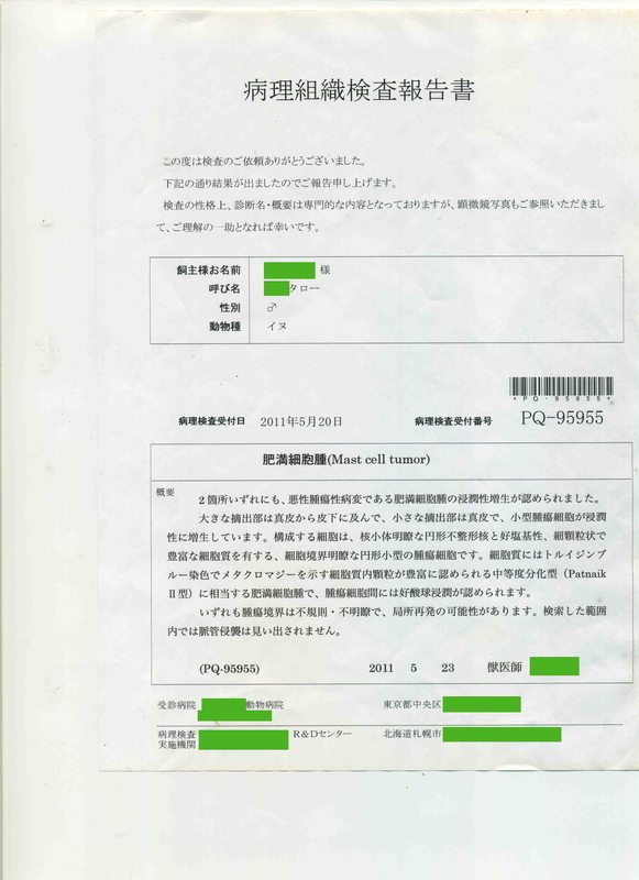 検査報告書１