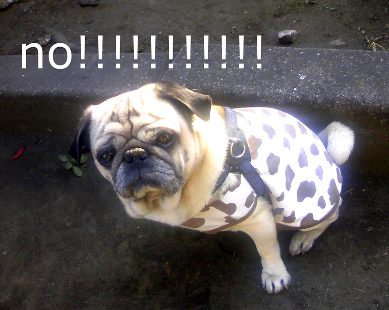 手術に「no」