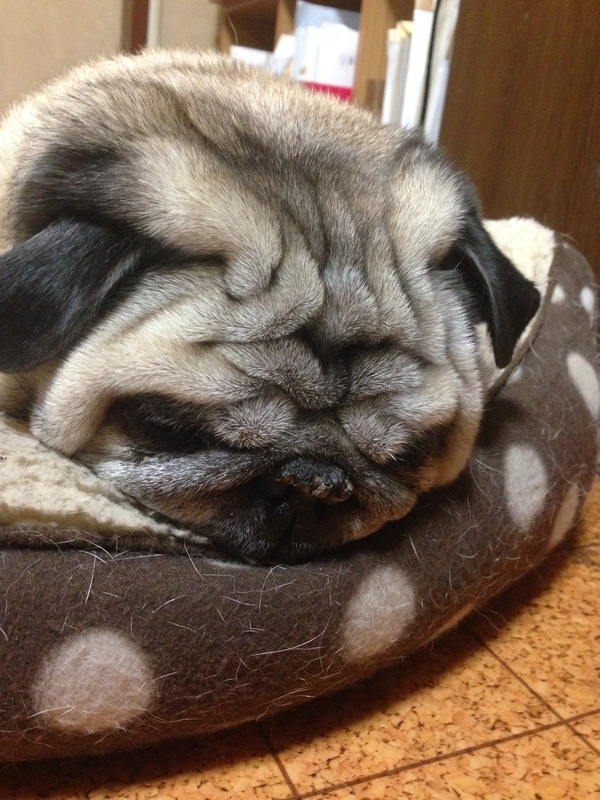 耳の付け根