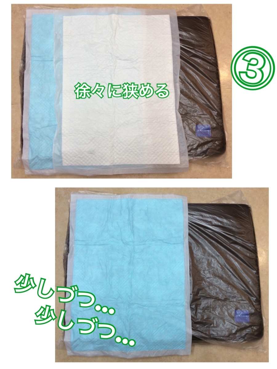 f:id:toyoda-pc:20190812110606j:plain f:id:toyoda-pc:20190812110606j:plain