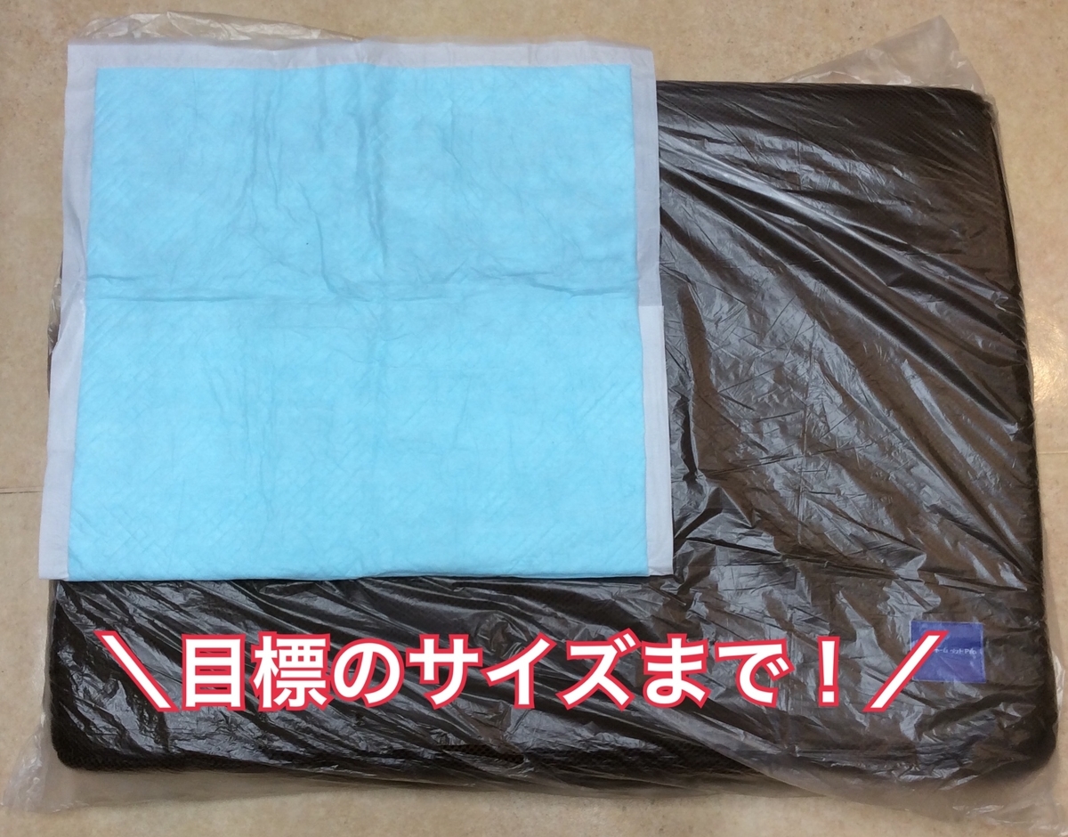 f:id:toyoda-pc:20190812110610j:plain f:id:toyoda-pc:20190812110610j:plain