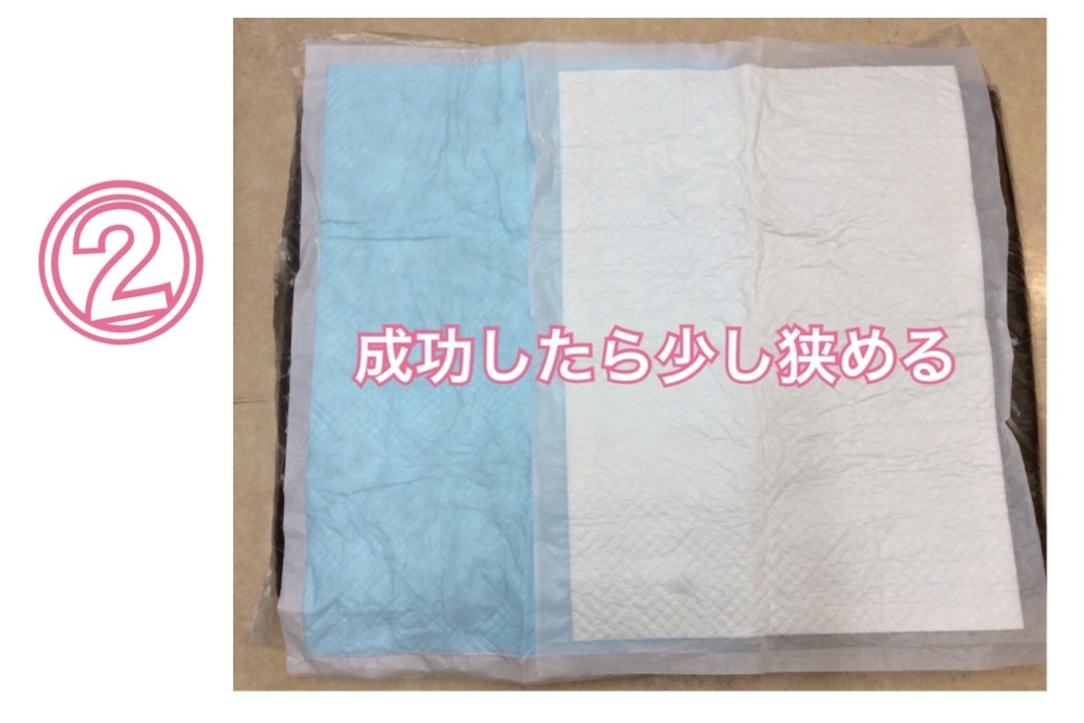 f:id:toyoda-pc:20190812122115j:plain f:id:toyoda-pc:20190812122115j:plain