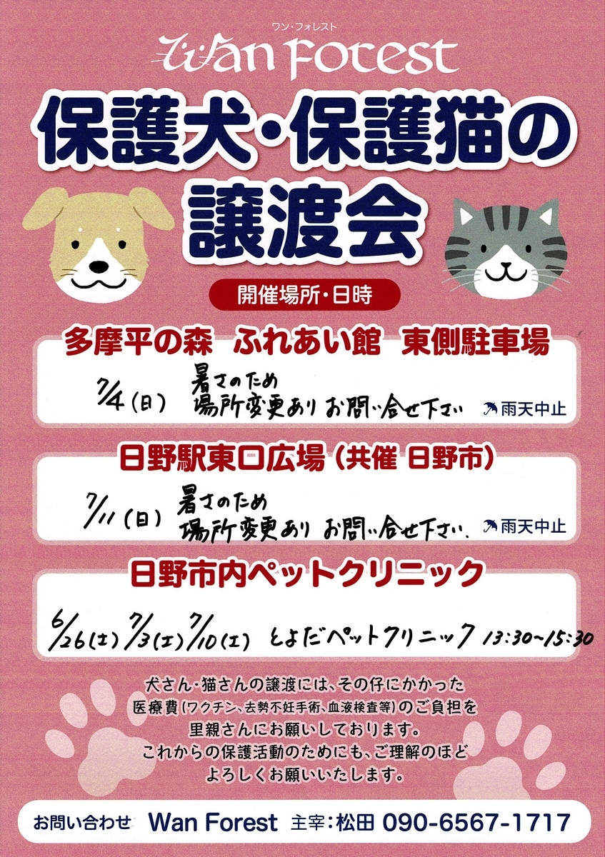 保護猫さん譲渡会があります。 - とよペNEWS