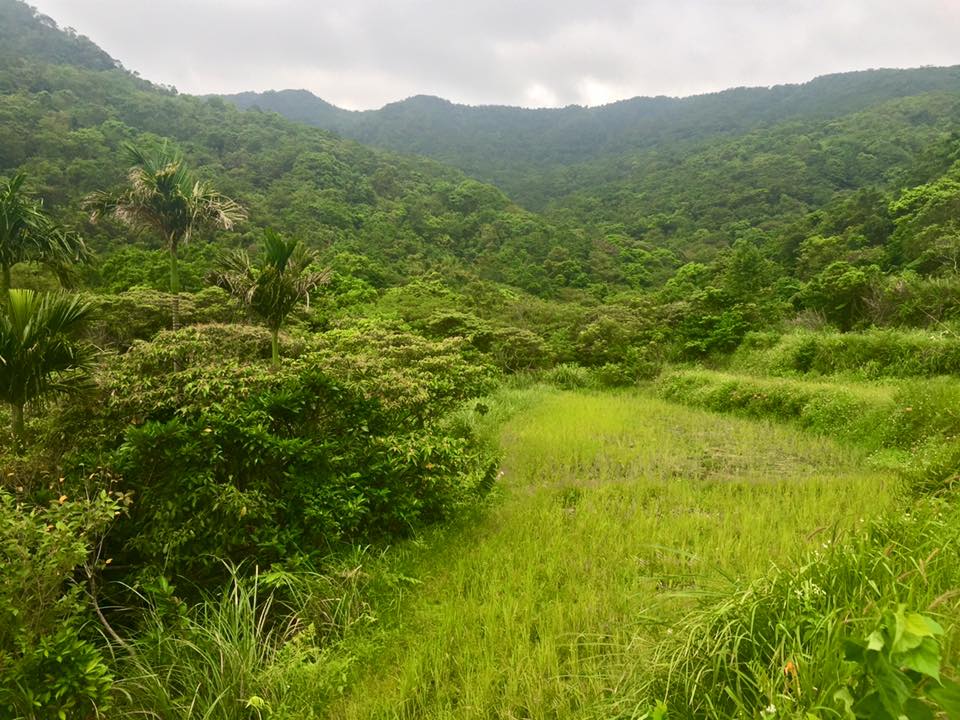 f:id:toyojapan1:20150928171724j:plain