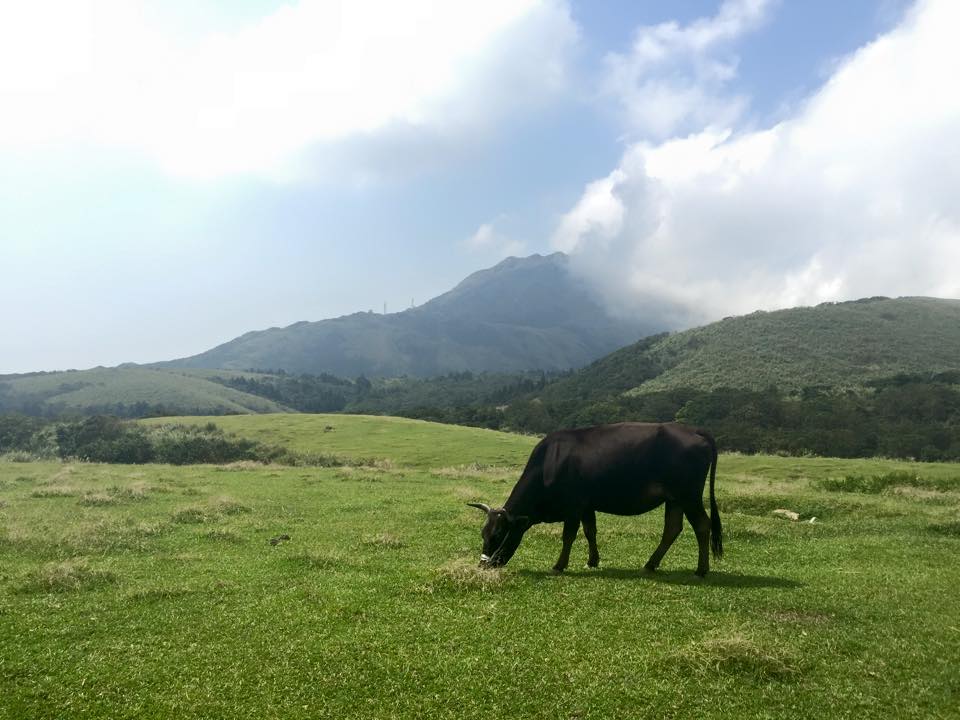 f:id:toyojapan1:20151002120106j:plain