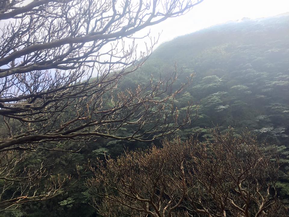 f:id:toyojapan1:20151002131453j:plain