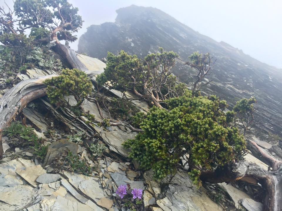 f:id:toyojapan1:20151014140044j:plain