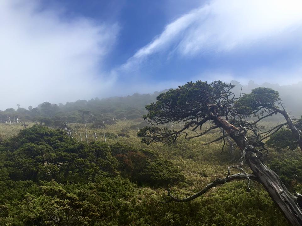 f:id:toyojapan1:20151014140426j:plain