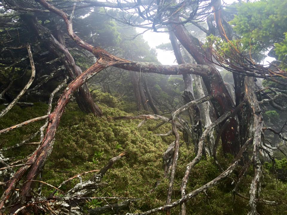 f:id:toyojapan1:20151014140916j:plain