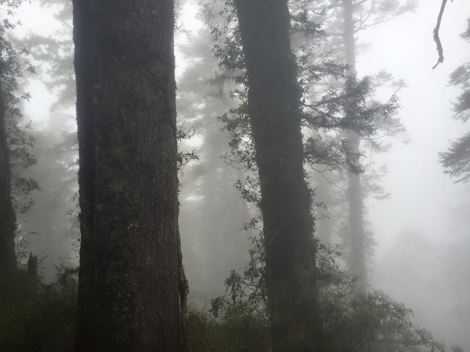 f:id:toyojapan1:20151014141531j:plain