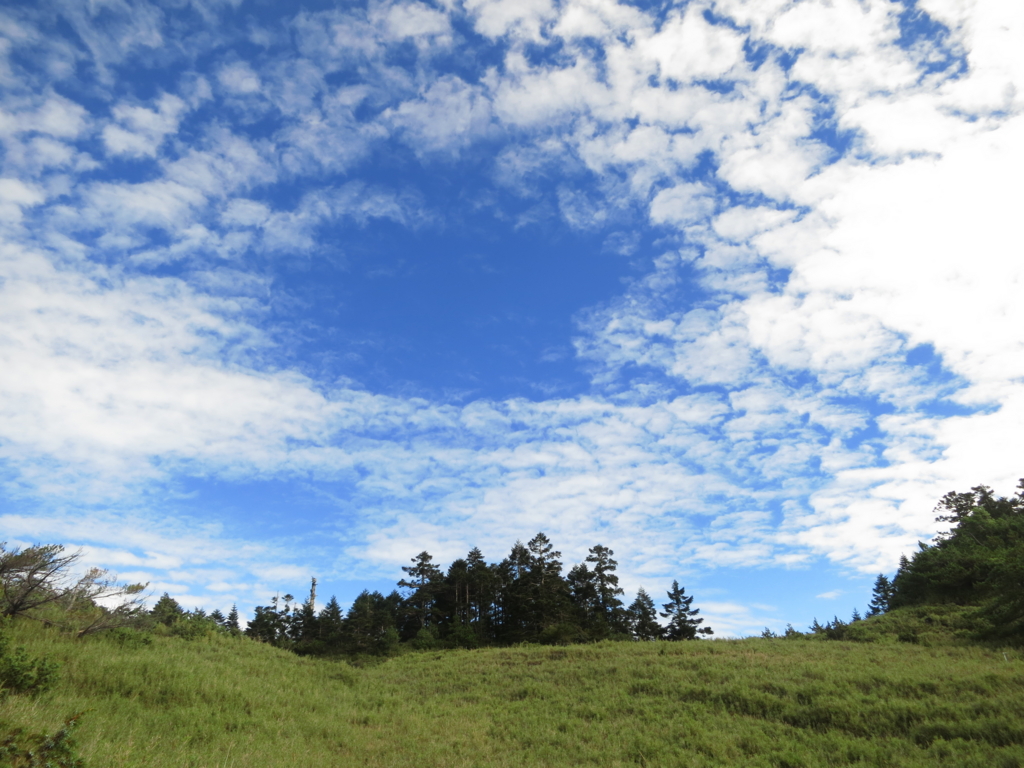 f:id:toyojapan1:20151014143209j:plain