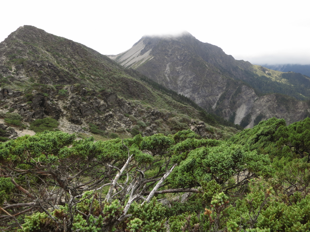 f:id:toyojapan1:20151014144528j:plain