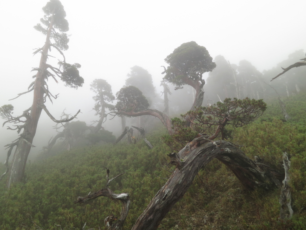 f:id:toyojapan1:20151014145828j:plain