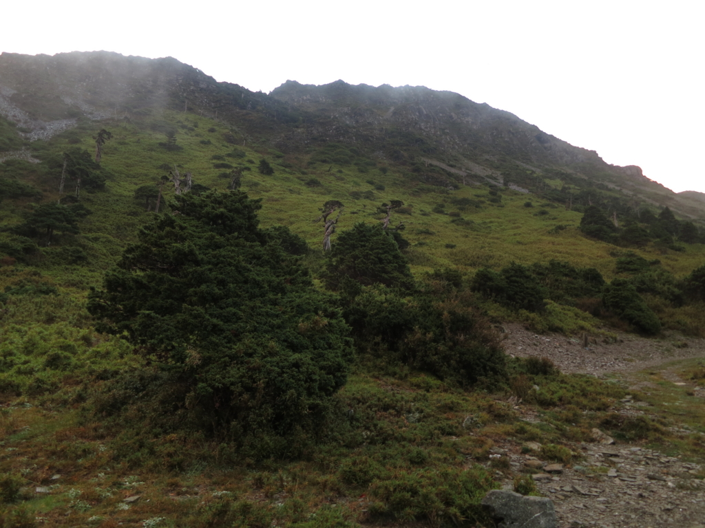 f:id:toyojapan1:20151014150205j:plain