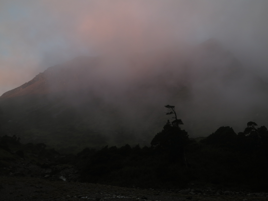 f:id:toyojapan1:20151021114059j:plain