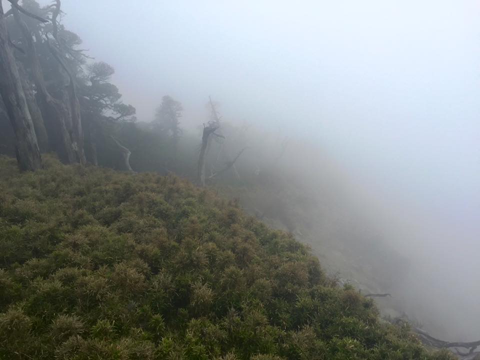 f:id:toyojapan1:20151021114609j:plain