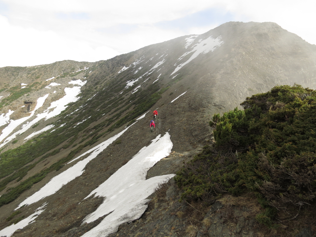 f:id:toyojapan1:20160516140755j:plain