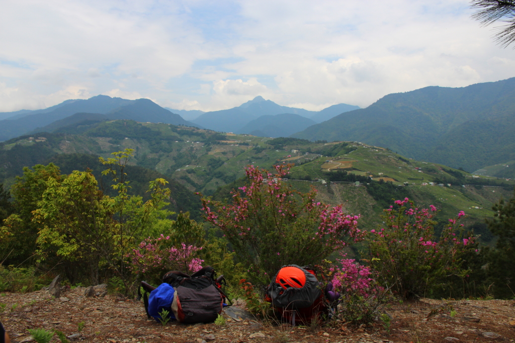 f:id:toyojapan1:20160516142125j:plain