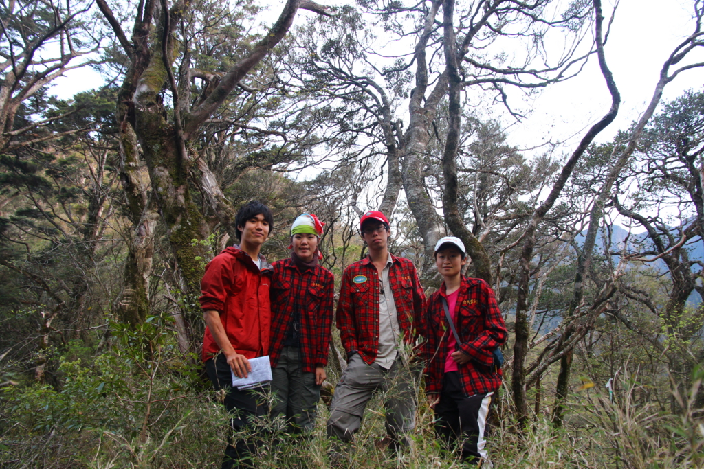 f:id:toyojapan1:20160516142508j:plain