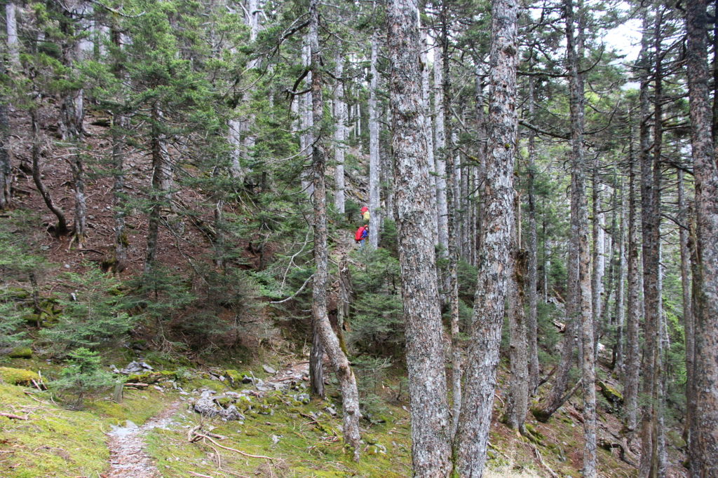 f:id:toyojapan1:20160516143548j:plain