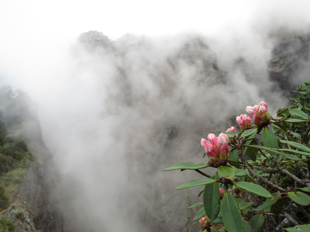 f:id:toyojapan1:20160526204626j:plain