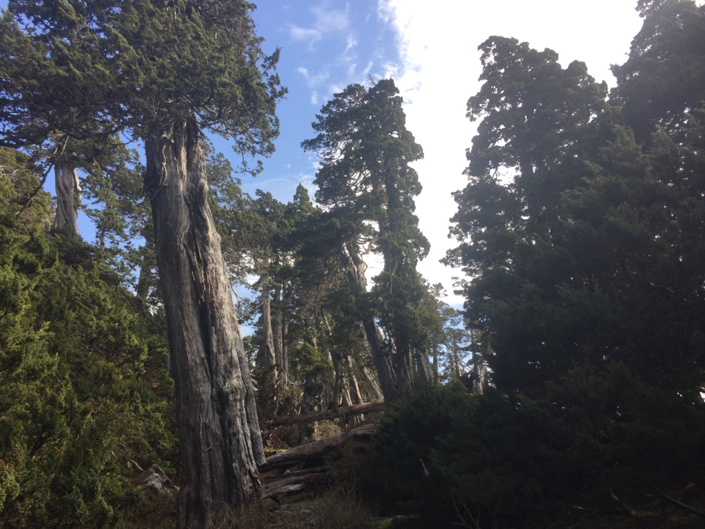 f:id:toyojapan1:20160526204949j:plain