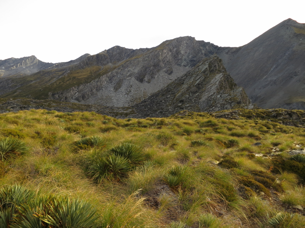 f:id:toyojapan1:20161022164014j:plain f:id:toyojapan1:20161022164014j:plain