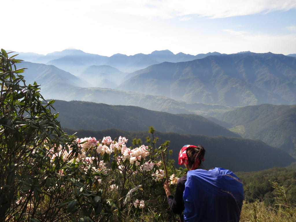 f:id:toyojapan1:20161113050715j:plain