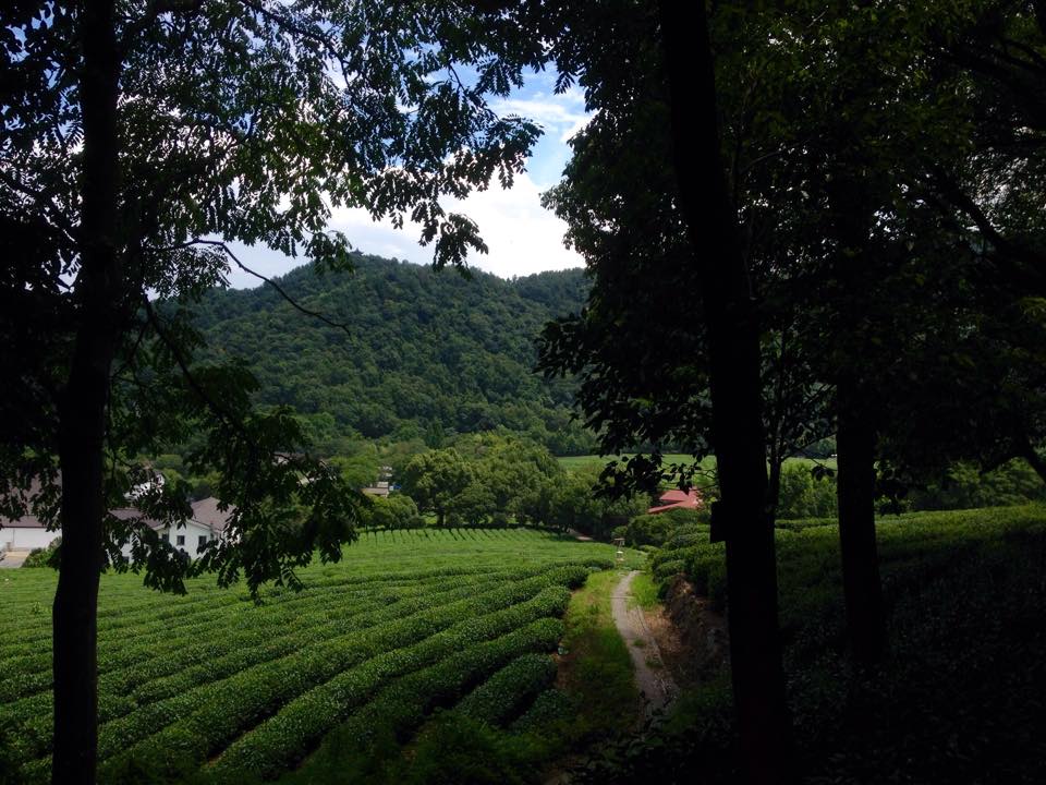 f:id:toyojapan1:20170108022147j:plain