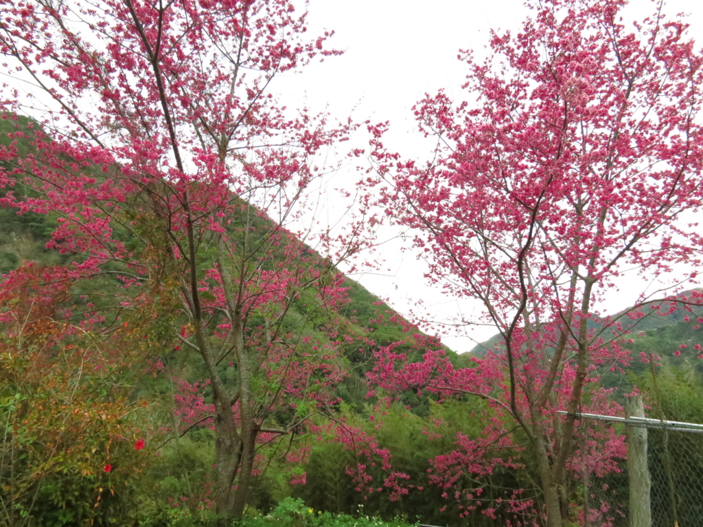 f:id:toyojapan1:20170207005228j:plain