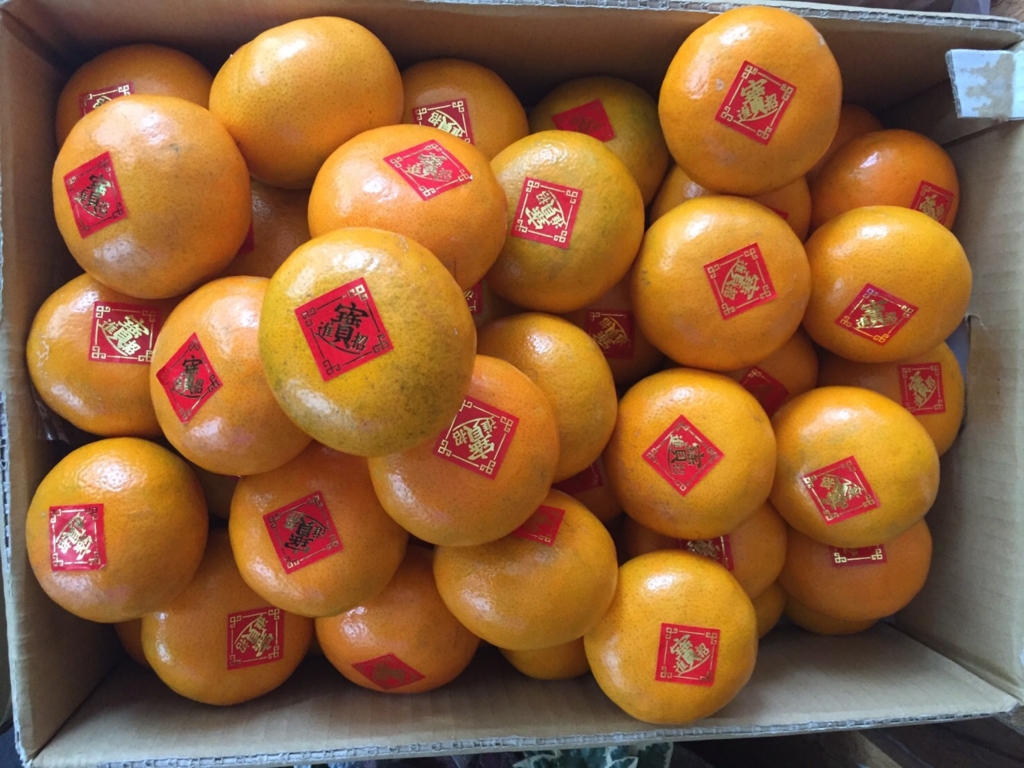 f:id:toyojapan1:20170207010104j:plain