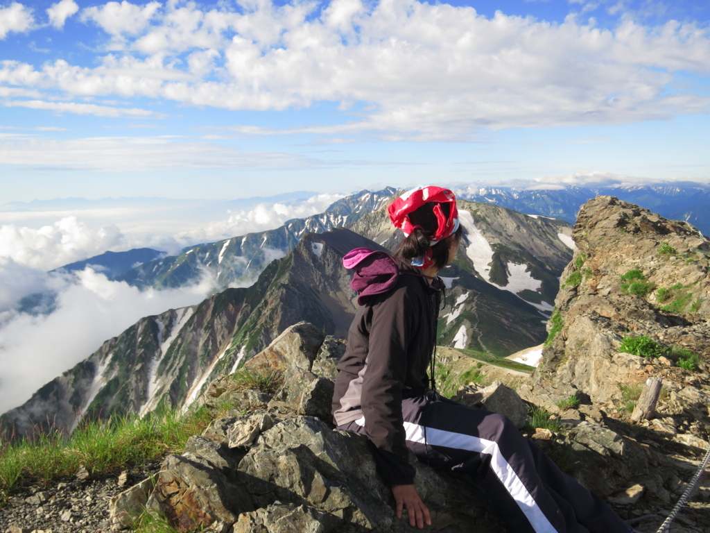 f:id:toyojapan1:20170803230027j:plain