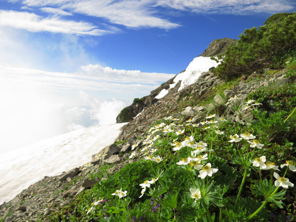 f:id:toyojapan1:20170803230041j:plain