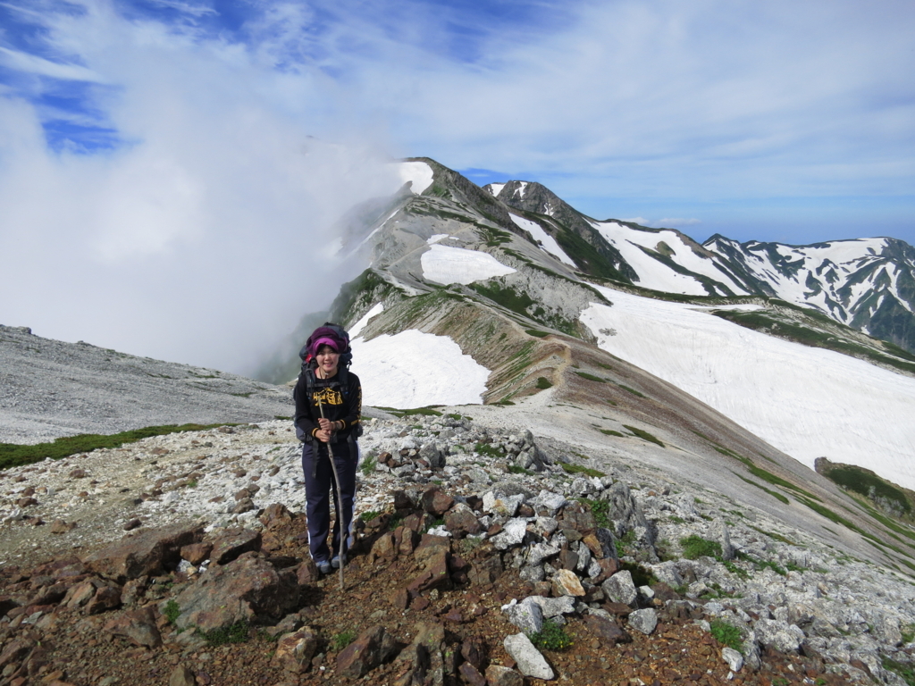 f:id:toyojapan1:20170803230240j:plain