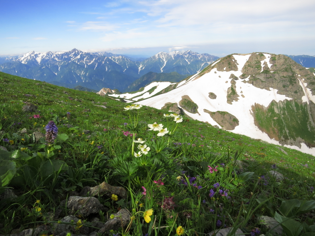 f:id:toyojapan1:20170804000552j:plain