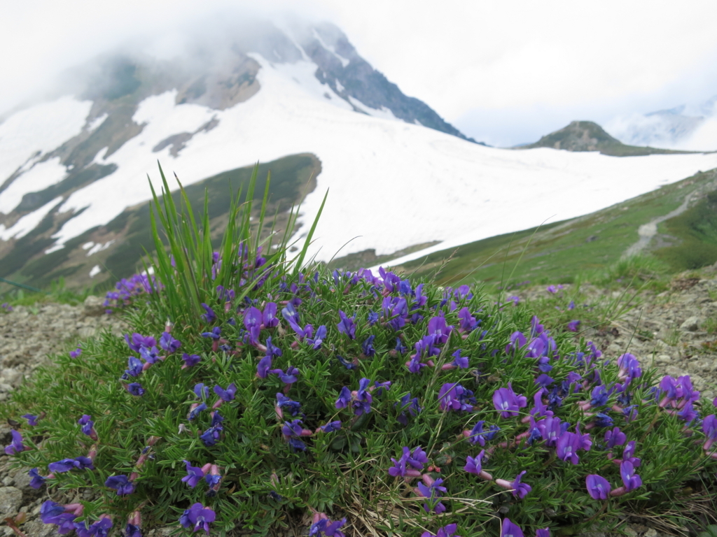 f:id:toyojapan1:20170804000614j:plain