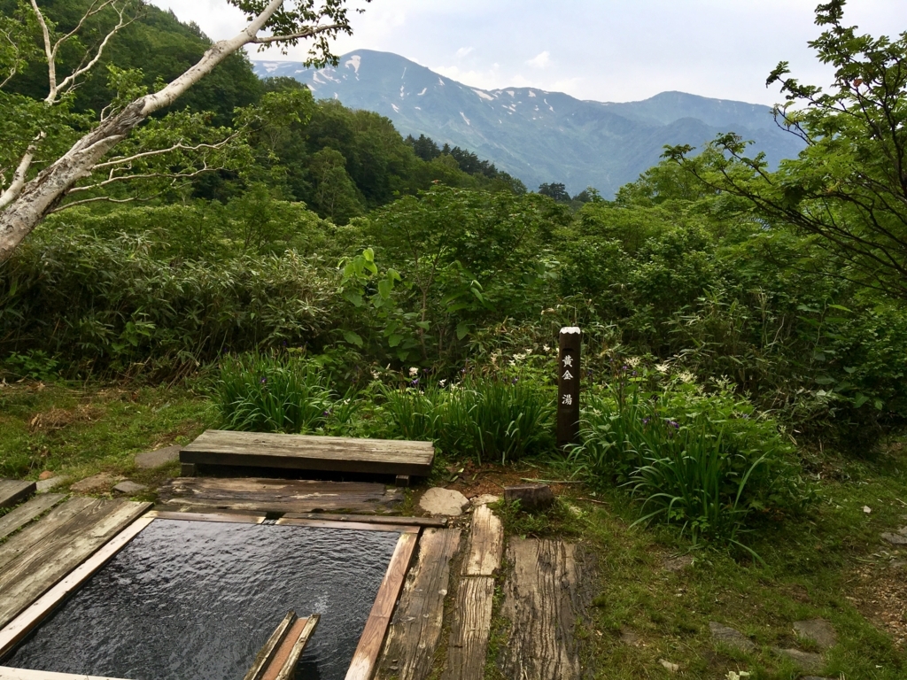 f:id:toyojapan1:20180218124527j:plain