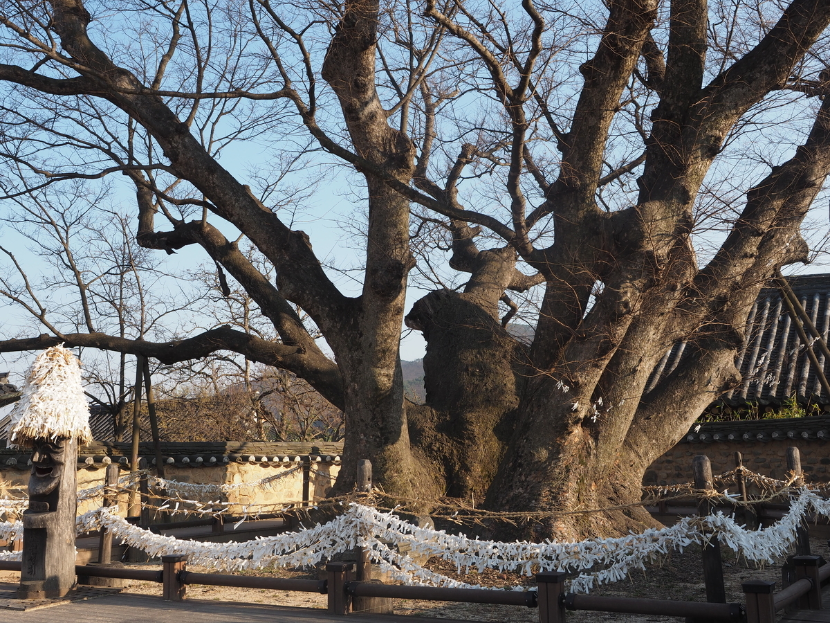 f:id:toyojapan1:20190330102547j:plain f:id:toyojapan1:20190330102547j:plain