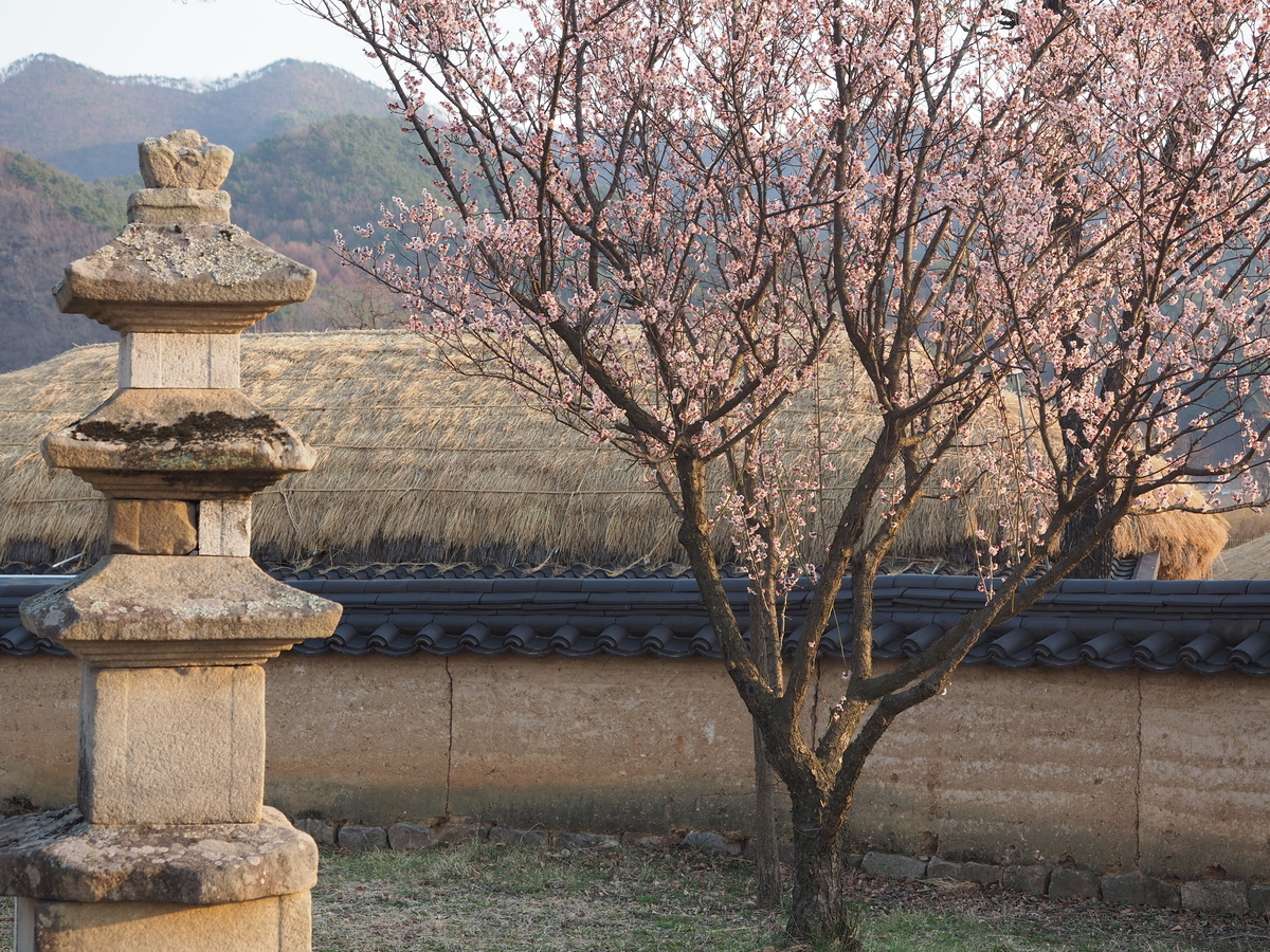 f:id:toyojapan1:20190401233904j:plain f:id:toyojapan1:20190401233904j:plain